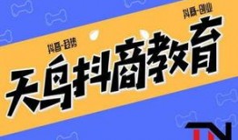 抖音新闻爆料多少钱一个,揭秘新闻爆料价格之谜，每条多少钱？