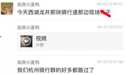 最新吃瓜爆料视频大全