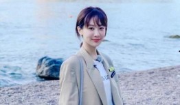 内娱大瓜爆料杨紫肖战视频,内娱大瓜背后的情感纠葛