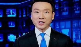 石家庄学区爆料新闻联播,教育资源优化与区域发展新篇章